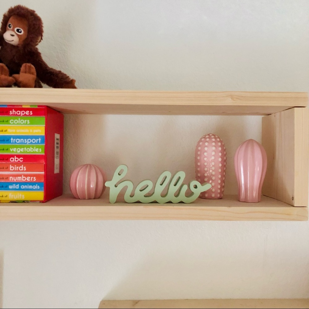 IKEA Pink Cactus Shelf Decoration